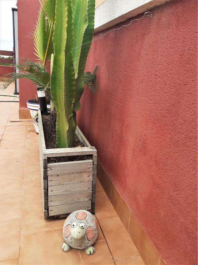Casa Ohana Solarium, Jacuzzi,Piscine,Tout Confort Orihuela Exteriér fotografie